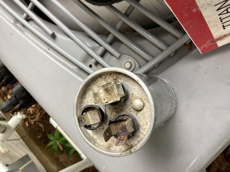 Responded to no cooling call on residential air conditioning system. Upon arrival, confirmed indoor fan operational but compressor not running. Discovered rodent damage to capacitor wiring where mouse had chewed through conductor. Removed failed capacitor and installed replacement unit. Verified proper electrical connections, tested system operation, and confirmed cooling restored. Unit returned to normal operation.