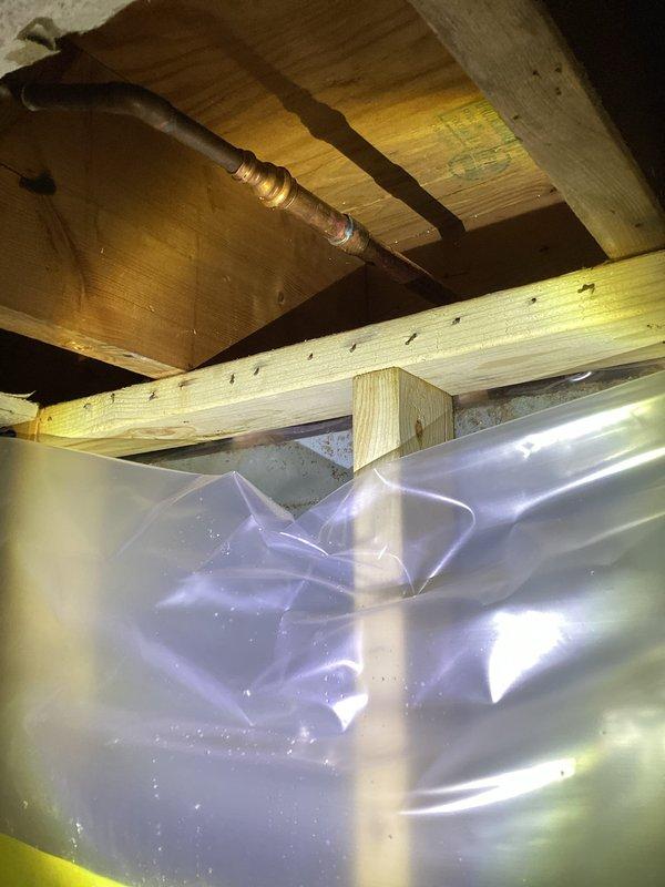 Responded to a leaking outdoor hose bib that had burst and was causing water intrusion into the basement when operated. Removed the failed hose bib fixture from the exterior wall, installed a new brass hose bib with proper mounting and sealing, and tested the system under full operation to confirm proper function and verify no leakage at the fixture or connection points.