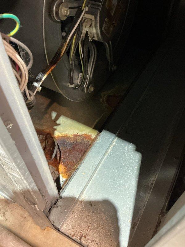 Responded to water leak from 12-year-old furnace and identified failed condensate plug on collector box as source of leak. Replaced defective collector box plug to resolve active water discharge. Observed significant corrosion present on drip pan and internal metal surfaces due to prolonged moisture exposure, though primary leak was successfully addressed with plug replacement.
