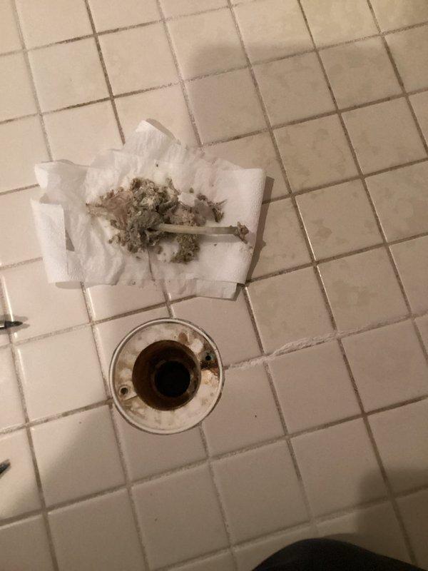 Responded to a slow-draining, backed-up master shower drain. Removed the strainer cover and found heavy mineral scale buildup and hair debris restricting the drain line. Cleared the scale and debris from the line, restoring full drainage, and noted corrosion and a cracked flange at the drain opening.