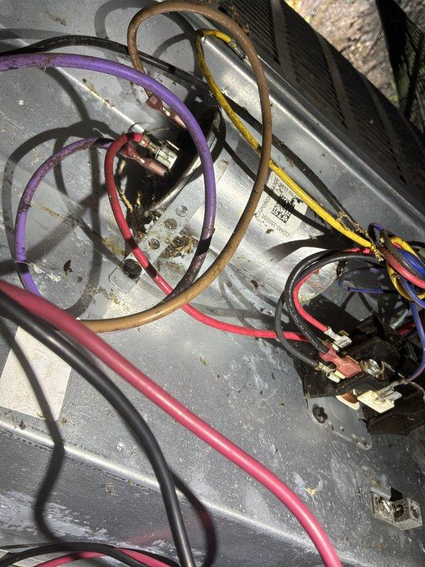 Responded to commercial no-cool call with no air blowing from air conditioning unit. Upon arrival, inspected outdoor condensing unit and found electrical control compartment heavily contaminated with dirt, leaves, and organic debris accumulation around contactor and wiring connections. Performed diagnostic evaluation of electrical components including contactor, wiring harness, and control circuits. Documented condition of equipment showing weathering, grime buildup on metal surfaces, and environmental debris infiltration in electrical compartment affecting system operation.
