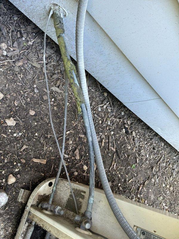 Responded to cooling complaint on 37-year-old Payne air conditioning system (Model 591ANX024000AAAA) paired with Carrier furnace that was running but not cooling adequately. Performed diagnostic evaluation of outdoor condensing unit, inspecting compressor, capacitor, refrigerant lines, and electrical connections. System components showed significant age-related wear with visible corrosion, dirt accumulation, and biological growth on exterior piping and drain pan, indicating extended service life and minimal recent maintenance.
