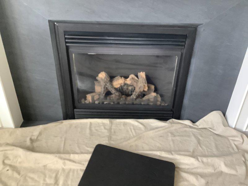 Inspected wall-mounted gas fireplace with glass front panel and ceramic log set to assess condition and determine replacement options for protective glass door. Verified fireplace operation with gas flames functioning properly and confirmed unit specifications for compatible glass door or screen replacement. Documented existing black metal frame assembly and glass panel configuration to provide homeowner with appropriate replacement part recommendations.