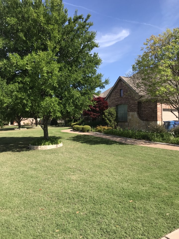 Performing a maintenance check on three Bryant Evolution air conditioning systems for our long time customer in Parker, TX. 