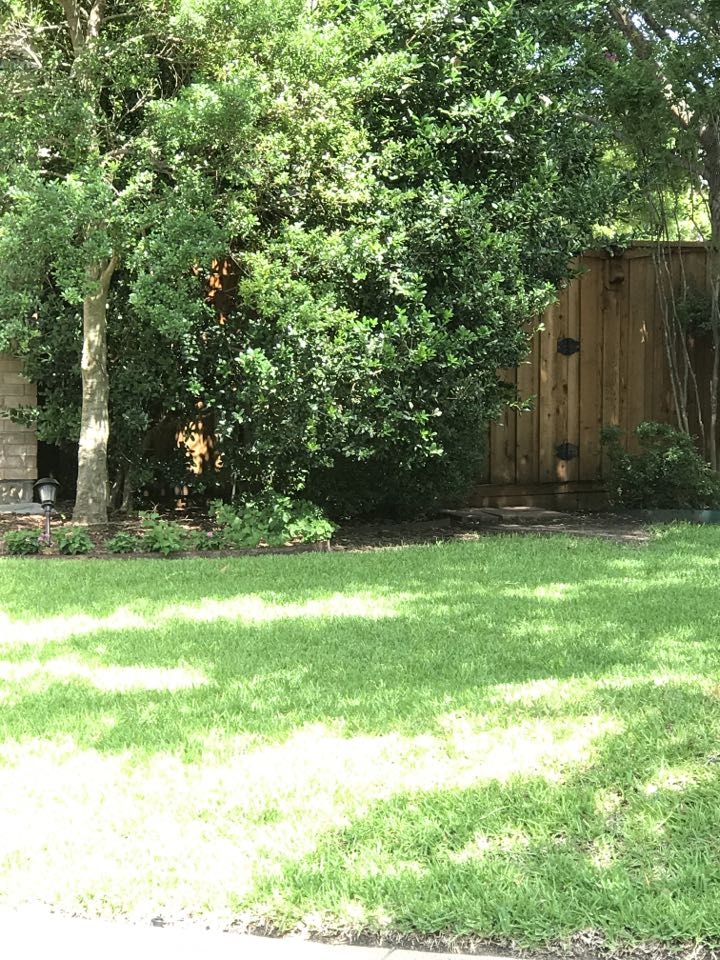 Servicing two Bryant Evolution air conditioning systems and one Lennox air conditioning system for our customer in Garland, TX. 