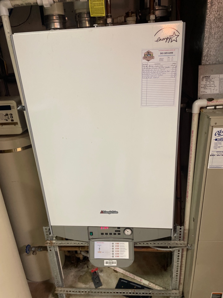 Service of Triangle Tube boiler