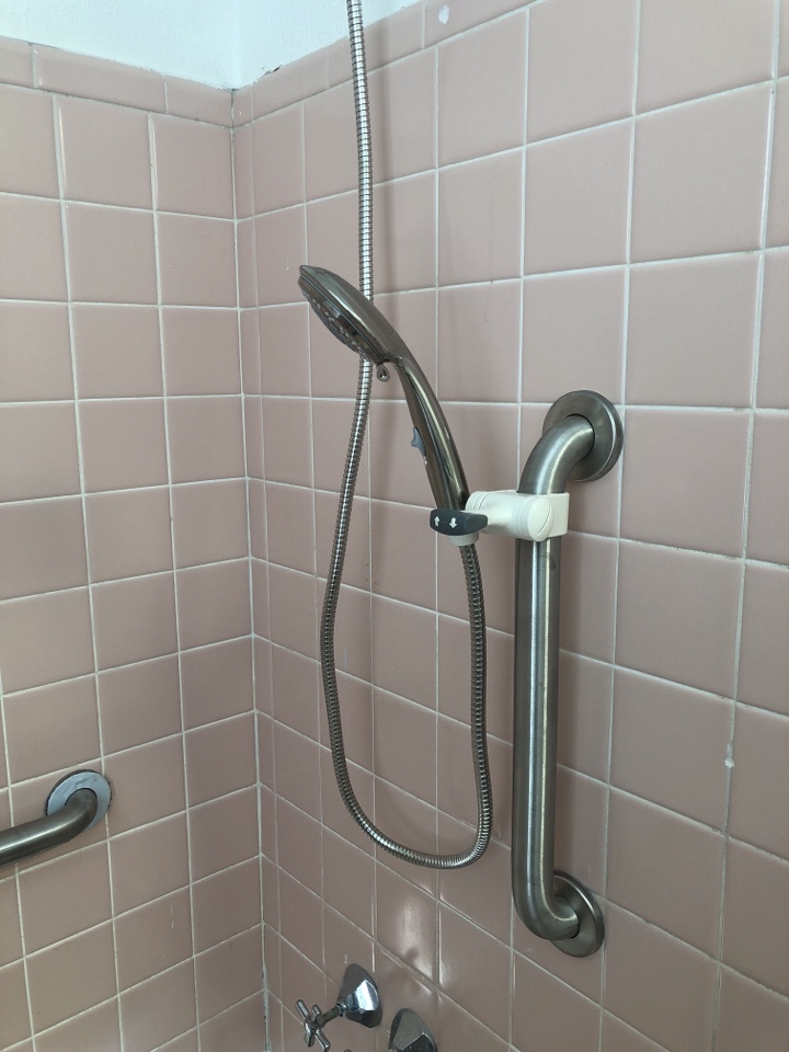 Grab bars and bidet & hand held shower sprayer