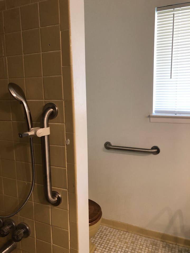 Grab bars and hand-held shower sprayer