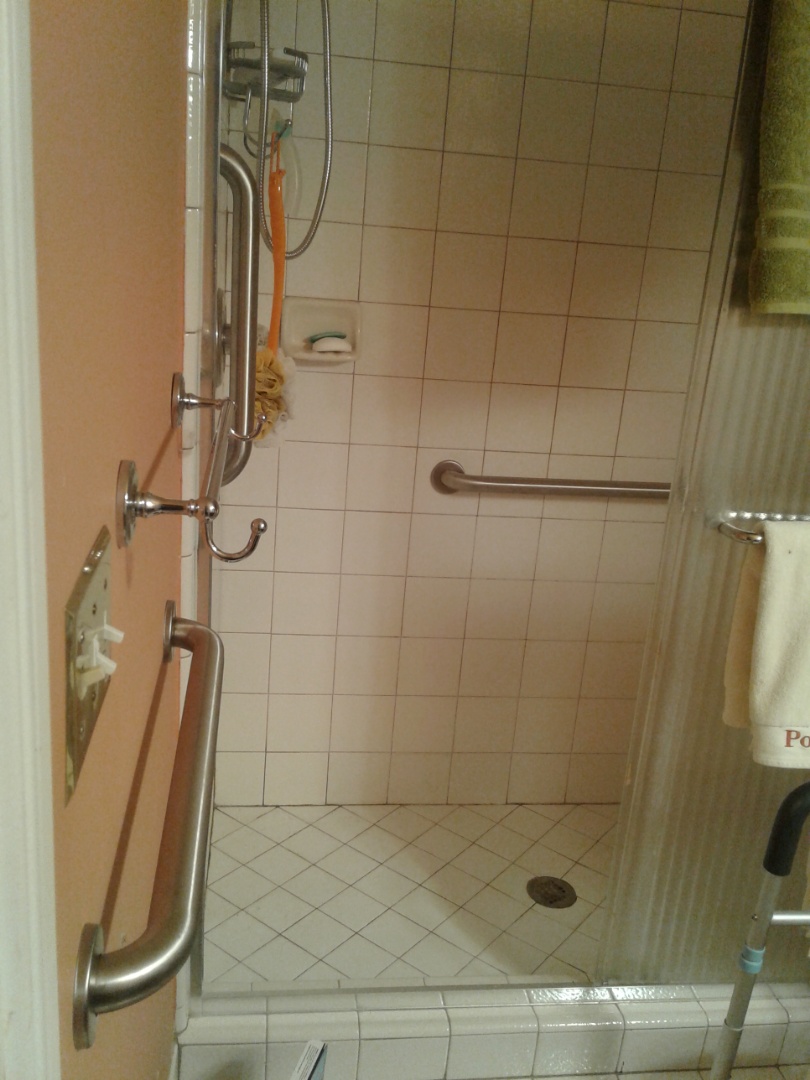 Grab bars
