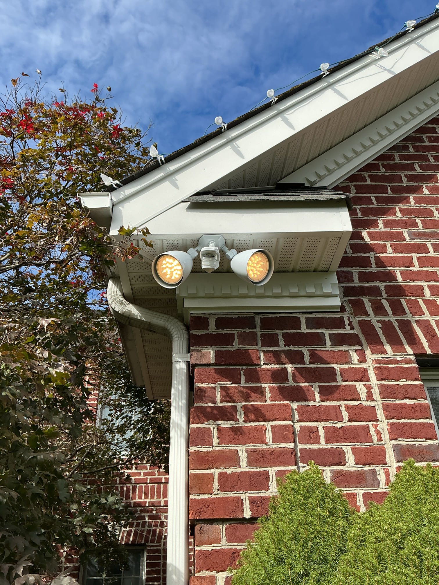 Suppply and install new flood light