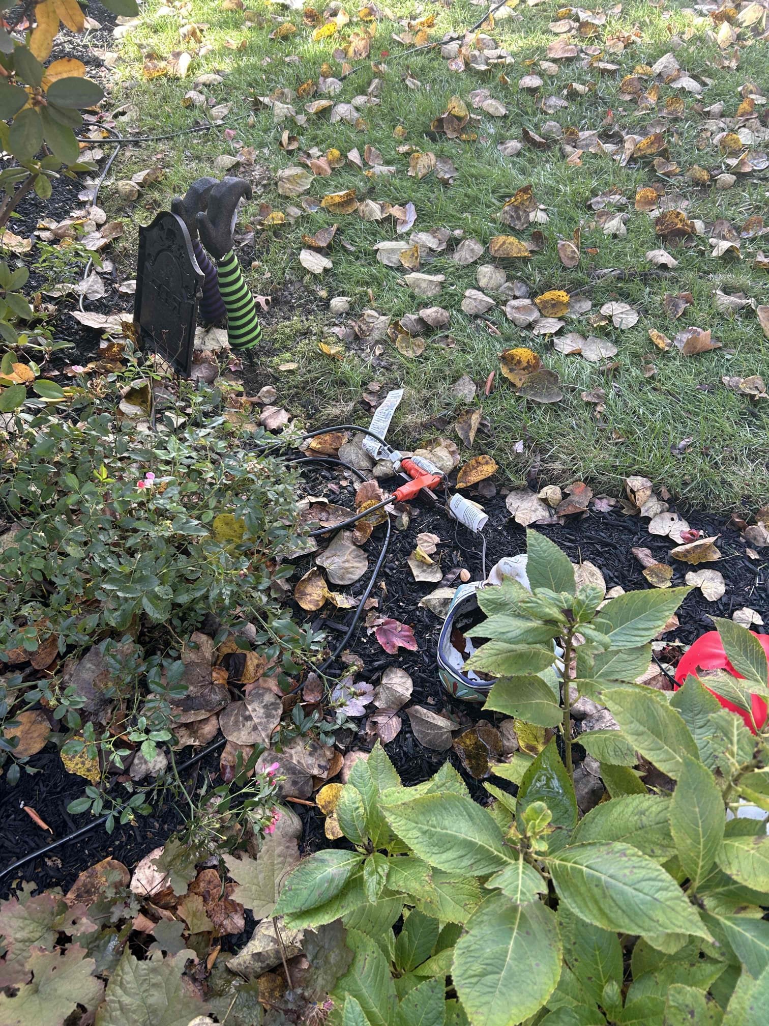 Found that the front receptacles as well as the garage receptacle turned off due to extension cords, laying in the wet grass during the heavy rain this morning. Would recommend getting cord and covers for the front decorations. Found that the front receptacles as well as the garage receptacle turned off due to extension cords, laying in the wet grass during the heavy rain this morning. Would recommend getting cord and covers for the front decorations.