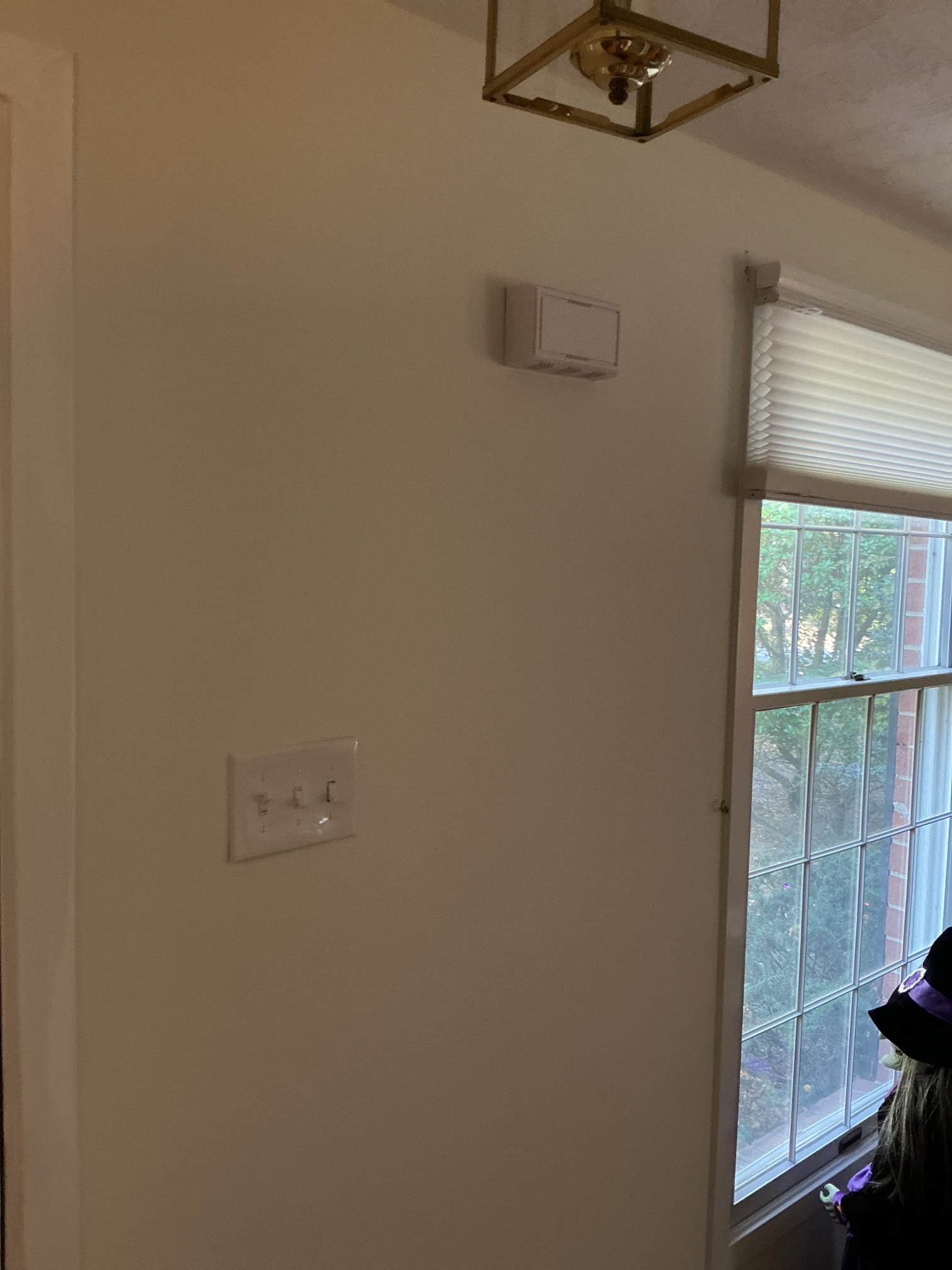 Install 4 new 6” recessed lights in the living room on a new dimmer switch
We will convert existing 3-gang switch to a 4-gang
Replace customer supplied front light and repair post light.