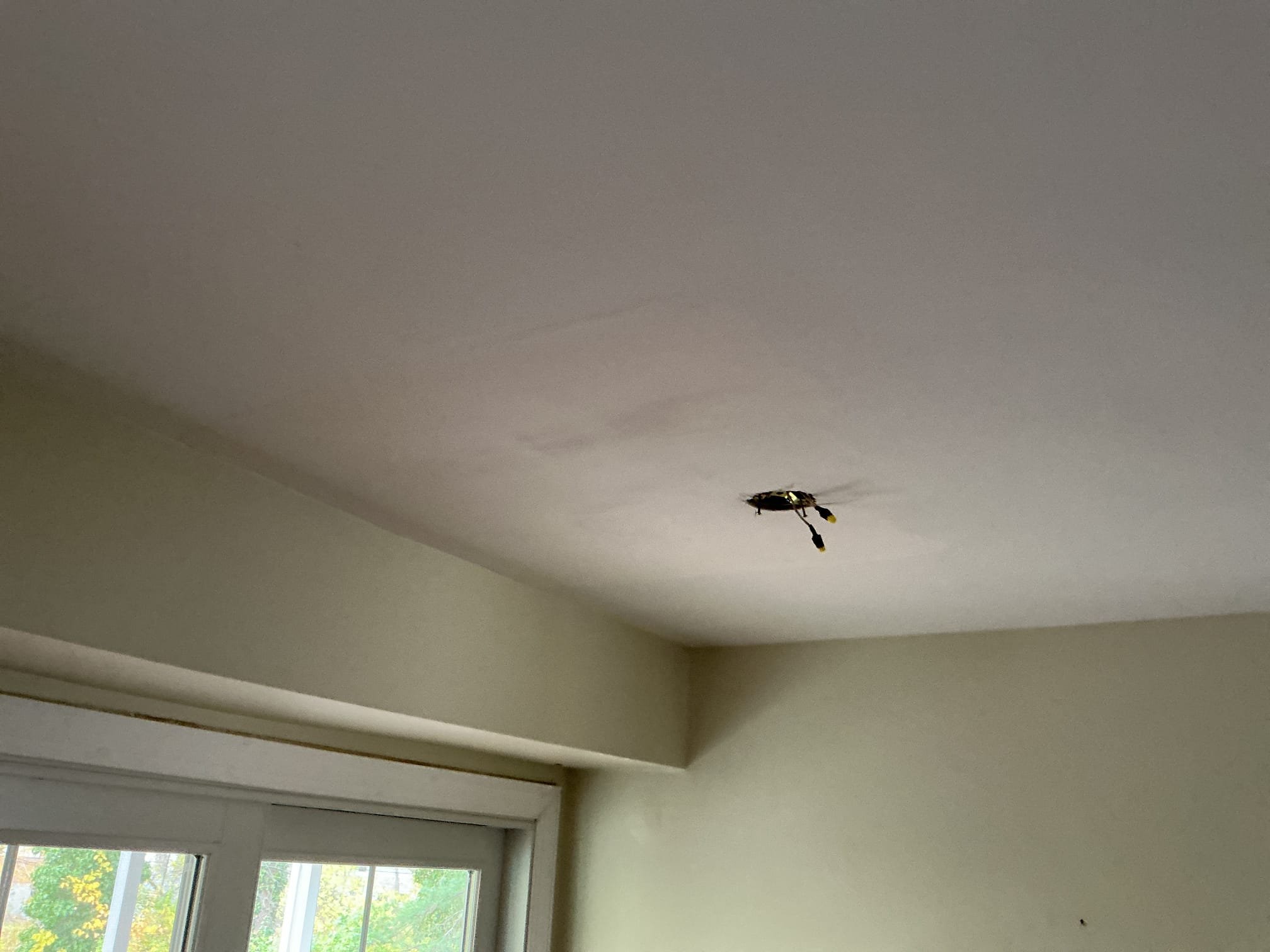 This solution includes the installation of 2 customer supplied fixtures.
We have installed the new customer supplied fixtures. One in laundry area and one in kitchen.