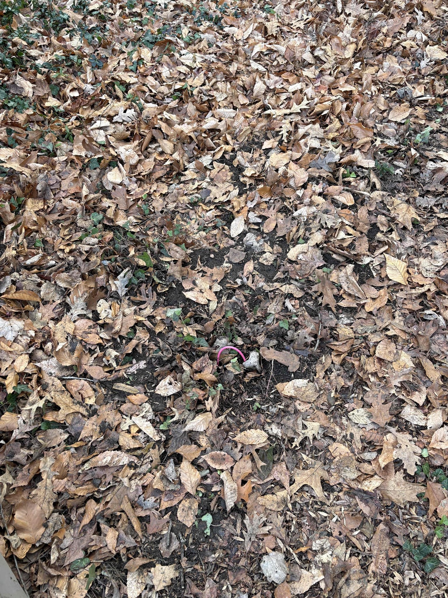 
Replace CH 40 space panel with a QO 40 space panel. Install brand new QO breakers correctly sized for circuits and to account for any multiwire branch circuits. Update the grounding system with installation of 8 foot ground rods outside the home, and bond the water heater with a #4 ground wire between the hot, cold, pipe. Install an emergency disconnect in accordance with county safety standards. Install a QO plug-on surge to meet county safety standards. Haas and Sons will coordinate with county inspectors and BGE throughout the entire process. 

Install a customer supplied level 2 EV car charger next to panel with a load management system.