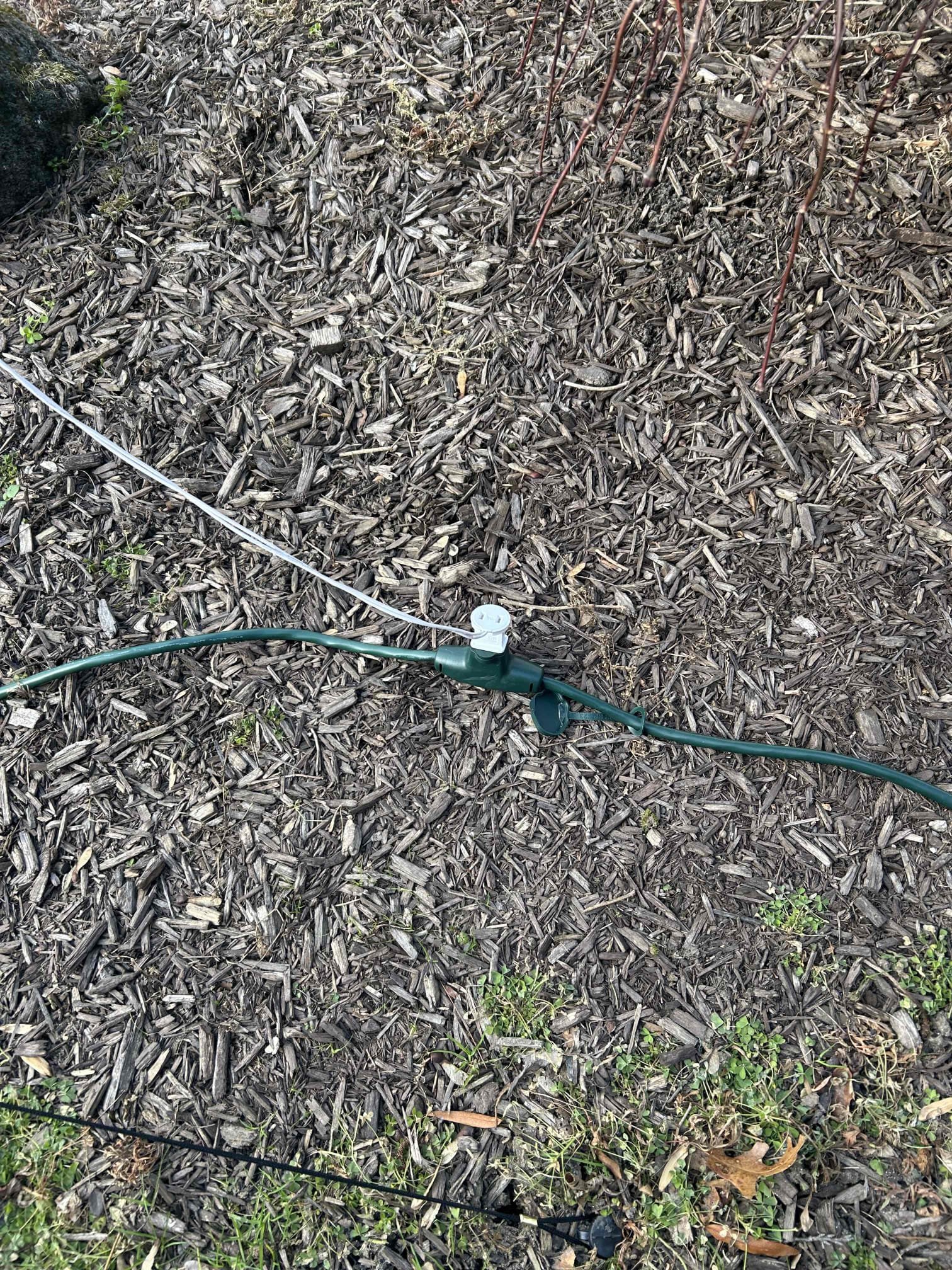 Reset GFCI in the basement next to the panel to restore power to the exterior receptacles. Recommend installing cord and covers for the Christmas lights to avoid water inside to trip the GFCI.