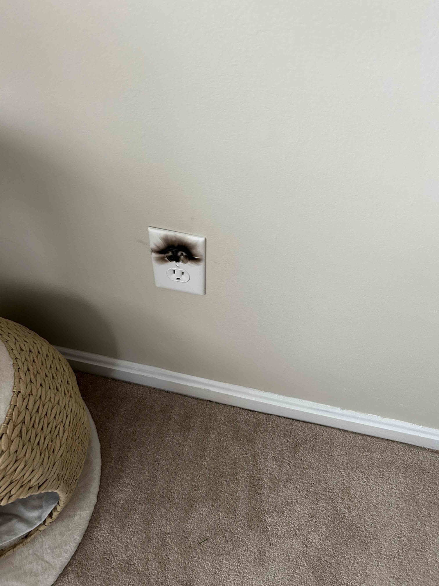 Replace blown receptacle in dinning room