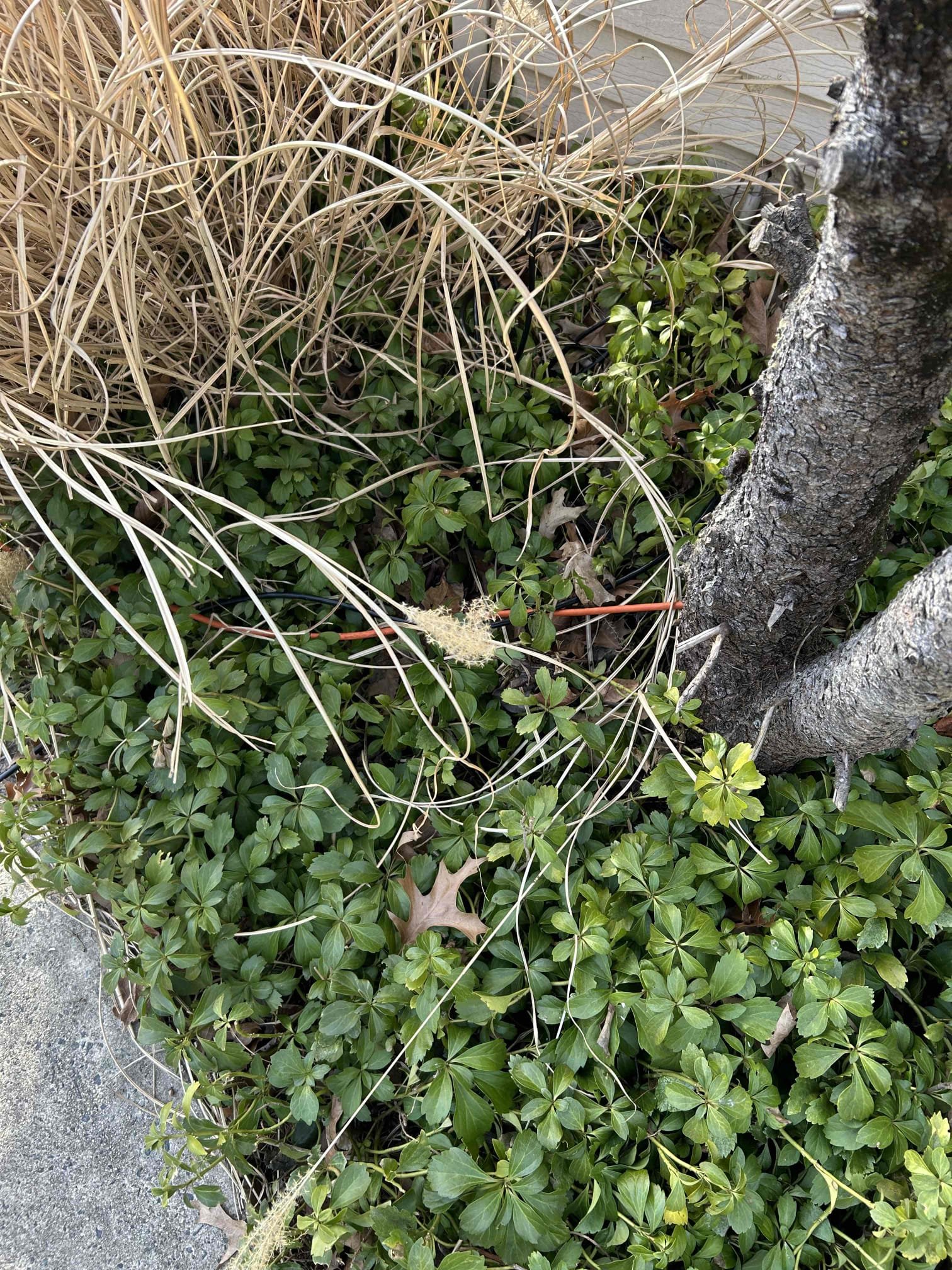 For this job we diagnosed outlets that were not receiving power for the outside and garage. They were tied to a bathroom gfci that needed to be reset. 