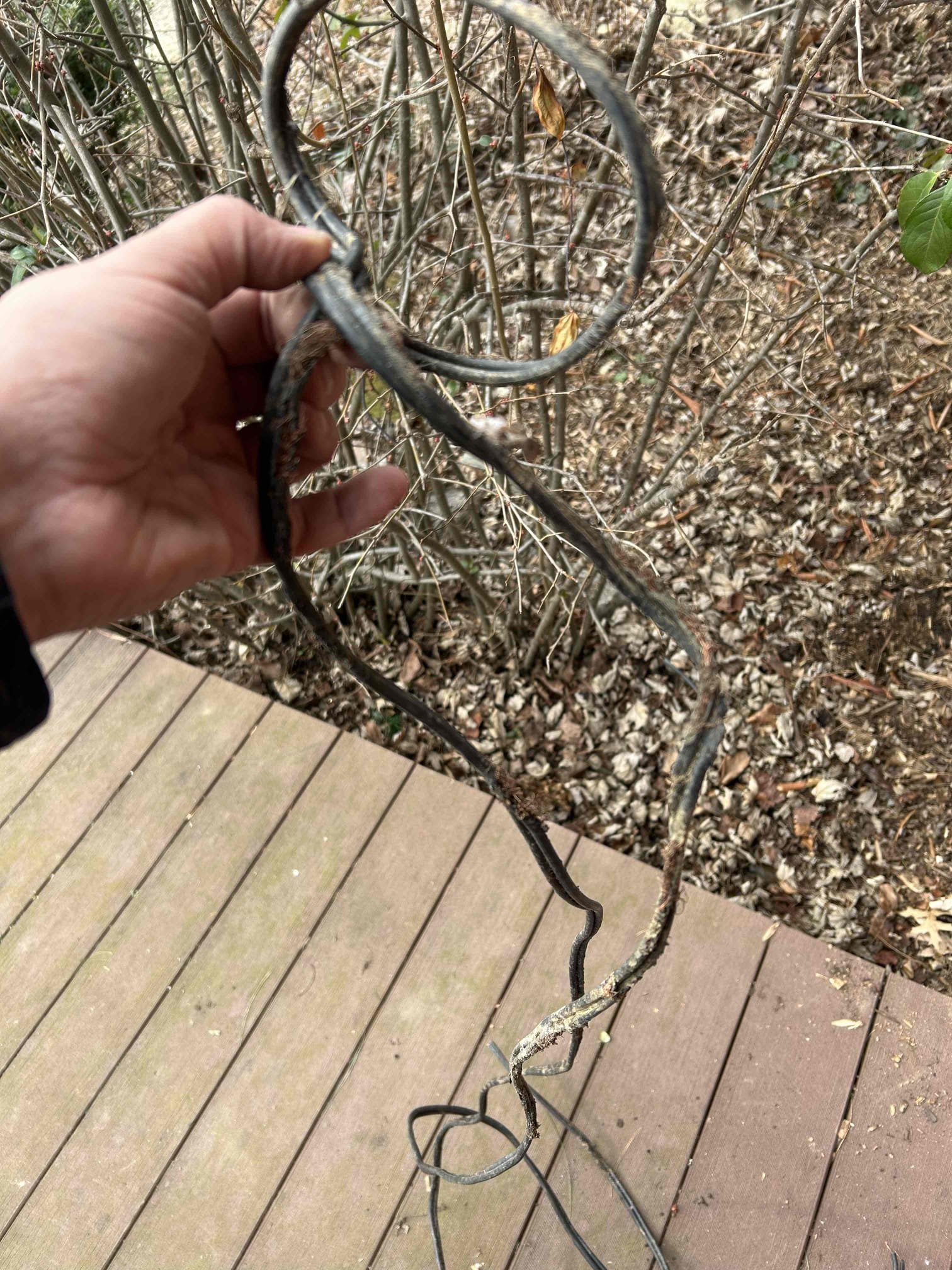 Repaired sheet up wire underneath transformer for front low-voltage spotlight.
Customer is now a member. 