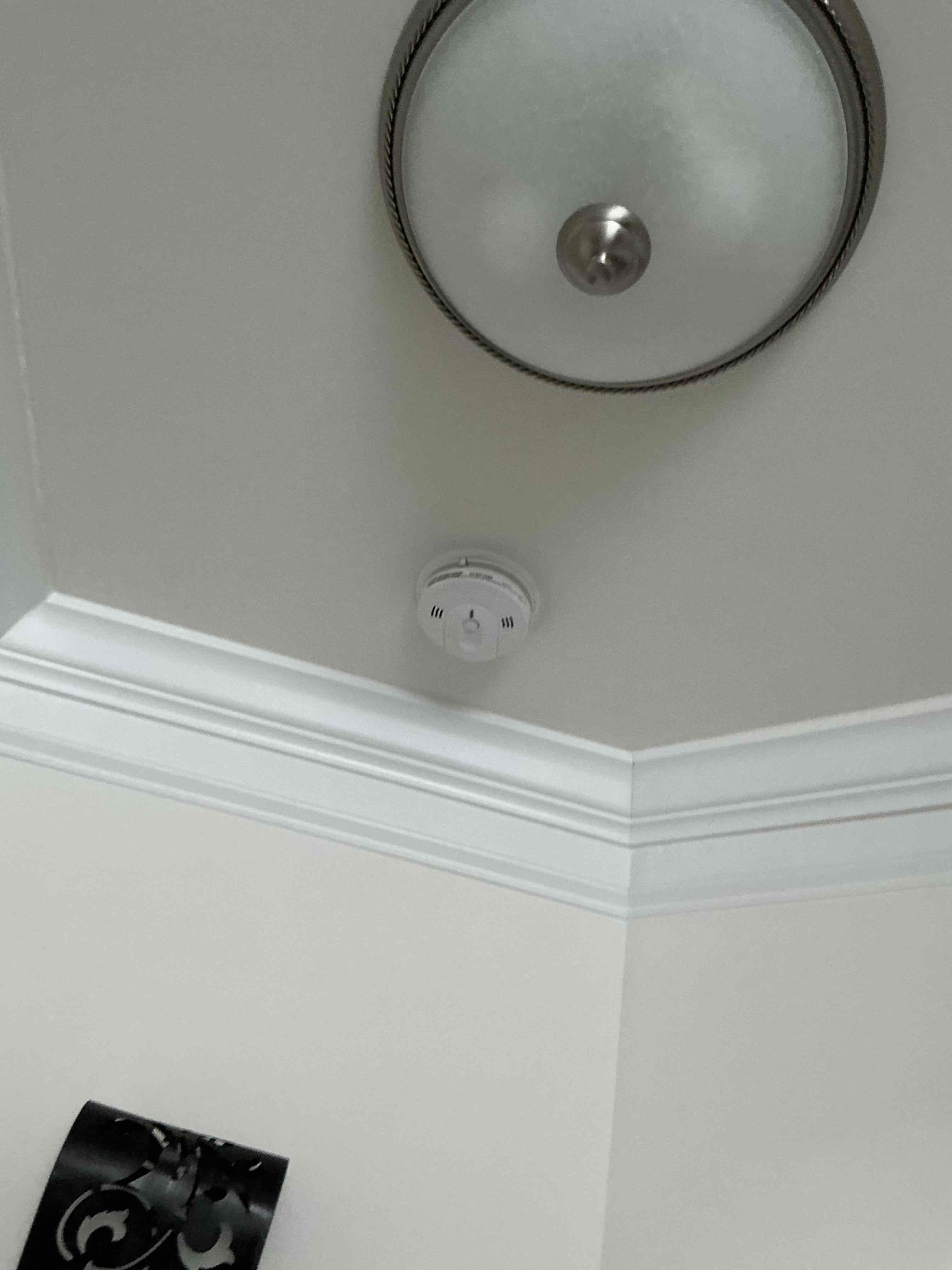 For this job we estimated to customer requested Carbon/Smoke detectors throughout the home. Additionally upon looking in the panel we noticed a few safety items we suggested updating including installing a whole home surge protector in the main panel as well as removing (4) single pole breakers and install (2) 2 pole breakers with common trip handle to remediate improperly wired multi-wire branch circuits. 