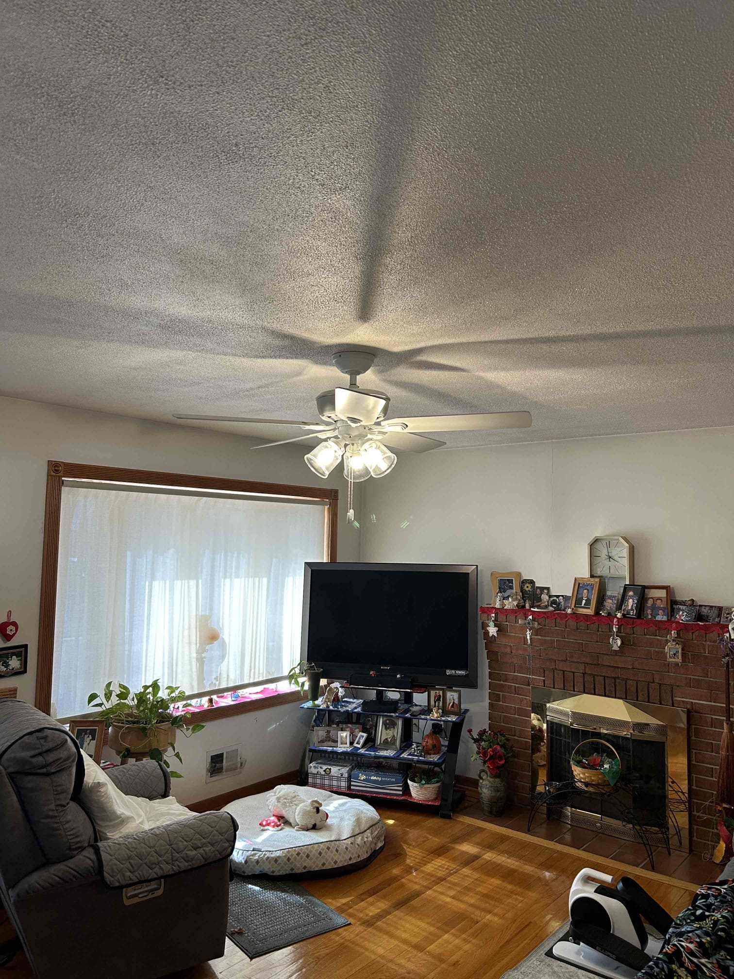 Installation of 4 new customer supplied ceiling fans in new locations on the 1st floor.
-Living room (no switch)
-all 3 bedrooms (using existing switch)
Replace customer supplied bathroom exhaust fan (hallway bathroom)