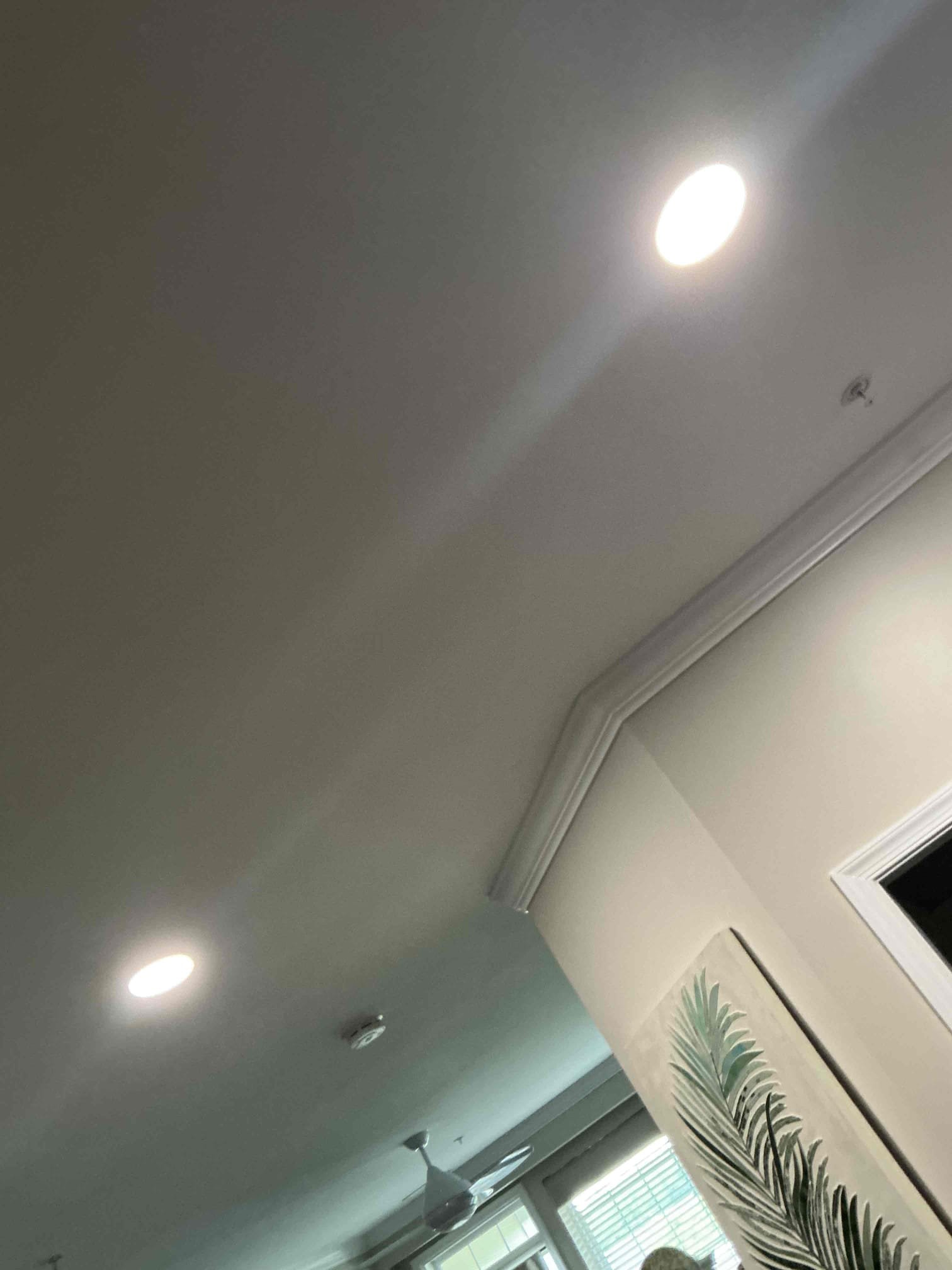 Install (2) 6” wafer lights in dining area with a box expansion and new switch leg
Install (2) 4” wafer in kitchen coffee bar