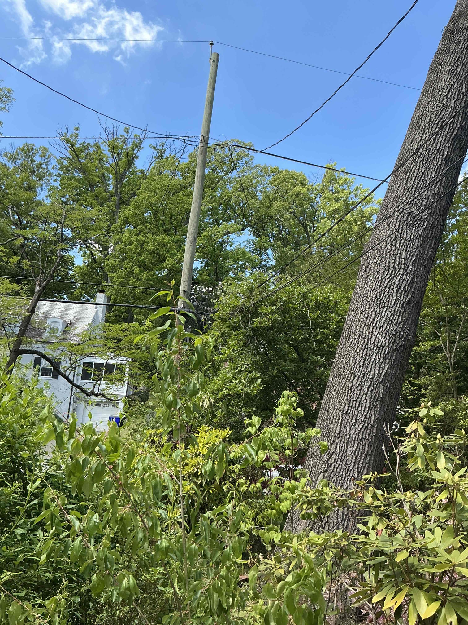 For this call, we came out to assess the condition of an Overhead Service Upgrade that was started by another company and never completed roughly 3+ years ago. The meter was improperly wired along with the temp splice being done improperly. Additionally, the main ground electrode system needs to be update by driving (2) 8’ long rods into the ground and running bare copper from one rod to the next and into the main panel. The cold water bond was not present either which needs to be installed along with a bonding bridge, panel GFCI and the rewiring of an improperly wired multi wire branch circuit. I provided an option to complete the job as needed or to do the service upgrade fresh from start to finish, which would be covered under warranty unlike the completion of the existing job. The customer agreed for quality and warranty reasons to do the job fresh from start to finish. Customer also enrolled into our VIP Care Plan. The job is schedule for Tuesday, May 5th. 


Upgrade existing over