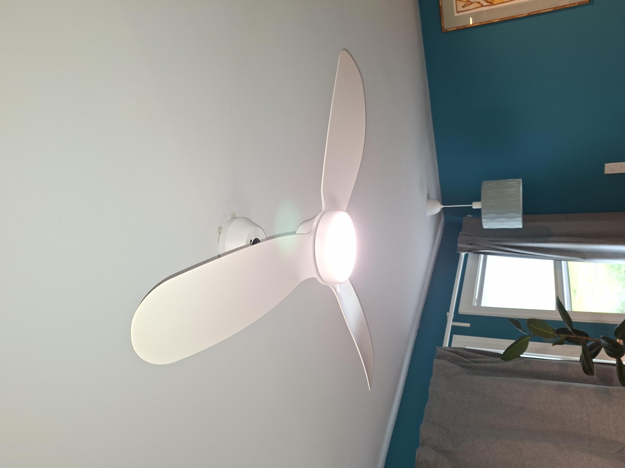 Install two customer supplied ceiling fans in the main and secondary bedroom. Includes Haas and Son VIP Membership.

Called out today to give solutions for installing customer supplied ceiling fans in two bedrooms. While performing my safety assessment, I noticed a lack of surge protection within the panel. I gave a solution to add surge protection along with installing the two fans. Customer also purchased the Haas and Sons VIP Membership.