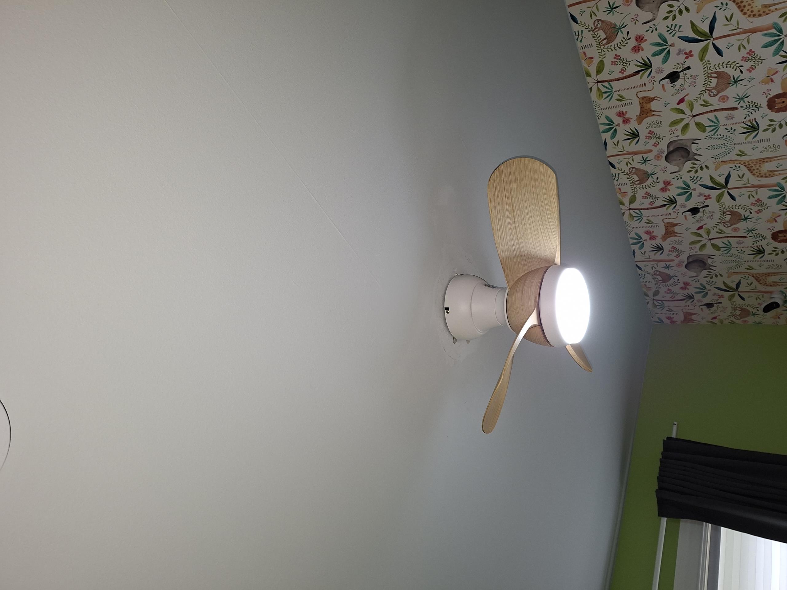 Install two customer supplied ceiling fans in the main and secondary bedroom. Includes Haas and Son VIP Membership.

Called out today to give solutions for installing customer supplied ceiling fans in two bedrooms. While performing my safety assessment, I noticed a lack of surge protection within the panel. I gave a solution to add surge protection along with installing the two fans. Customer also purchased the Haas and Sons VIP Membership.