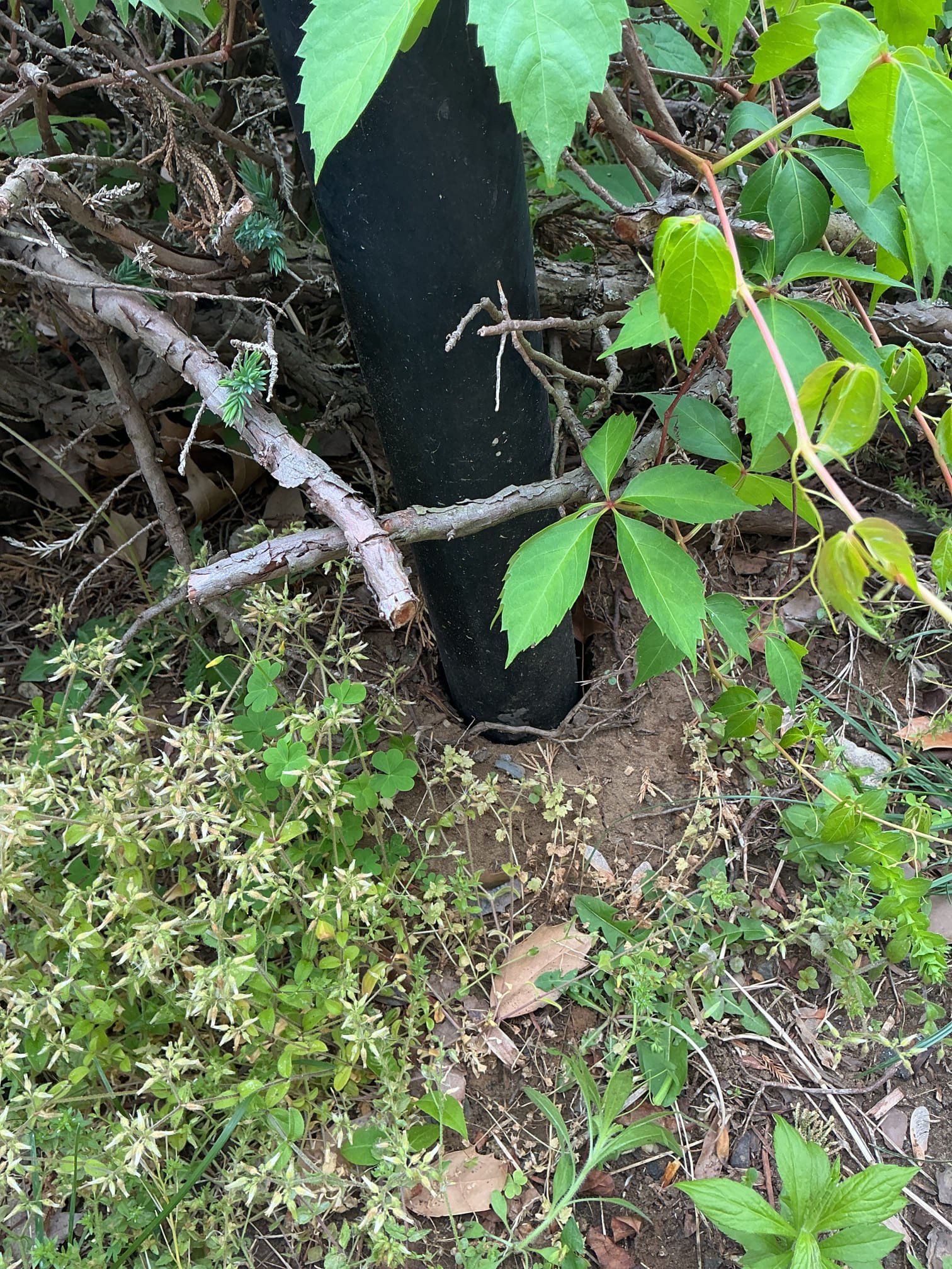 Remove broken post and install new post

Remove broken post and install new post
Supply and install material

Material is ordered. We will be returning next Friday to complete post replacement.
5/8
Return today and completed Work. New post and light is installed in place of the old broken one and is working properly.
