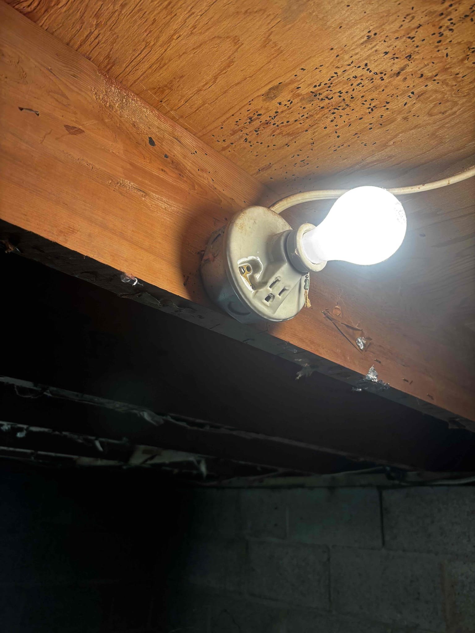 This estimate will include re-routing multiple cables supplying inside the crawl space. The reason to do this is so the cable can be properly installed through the floor joist as opposed to underneath them. This will allow proper installation of insulation to help prevent rodents from entering the home. This work will include disconnecting opened air splices and routing the cable through newly drilled holes in joist. Additionally we will install two junction boxes to house opened air splices. Lastly we will run a cable from the existing light fixture down to a new location by the door to install a light switch.