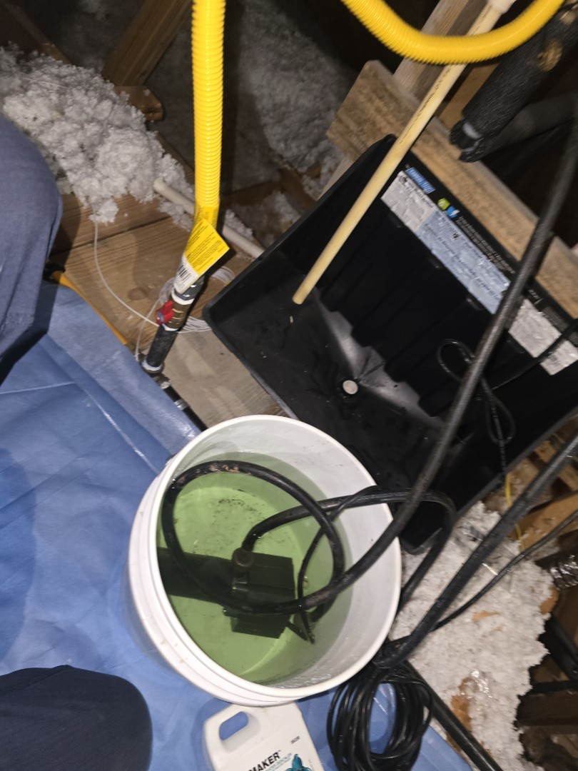water heater flush 