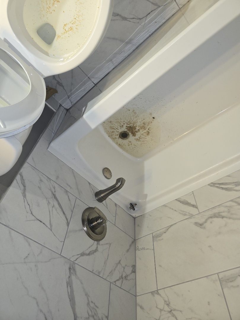 plumber needed 

nstop that drain bro