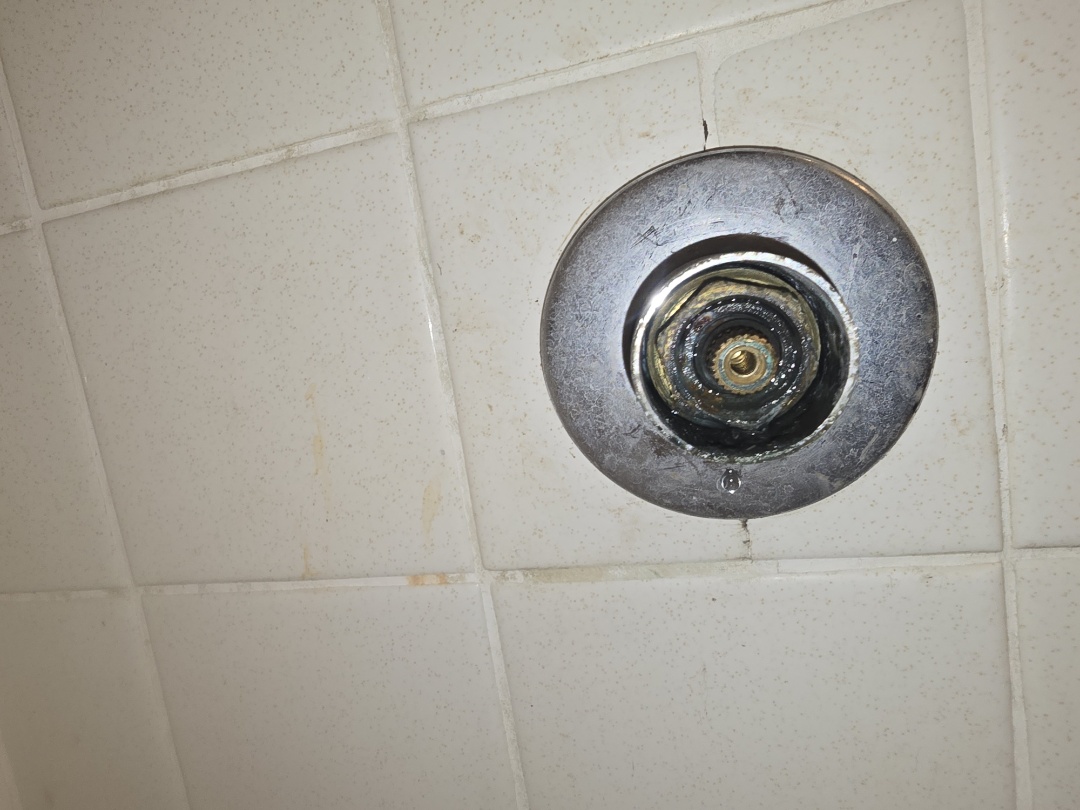 plumer needed 
shower repairs 