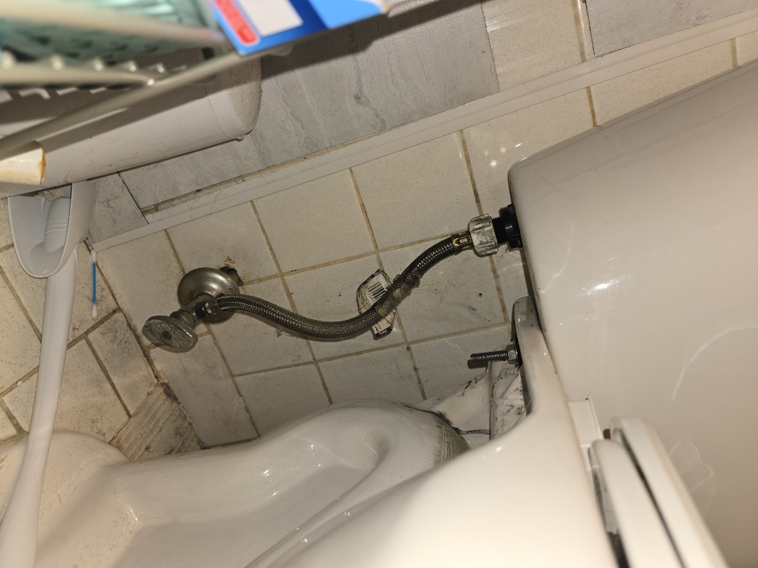 plumer needed 
shower repairs 