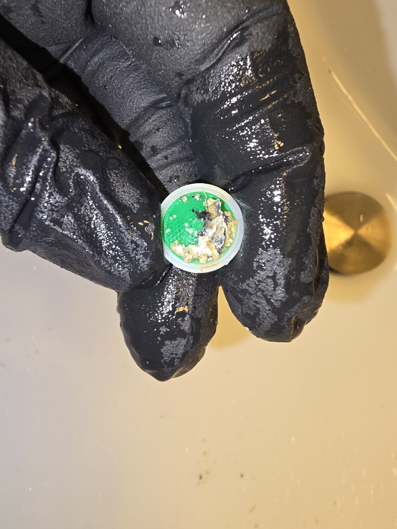 plumber needed 
dirty water we got you