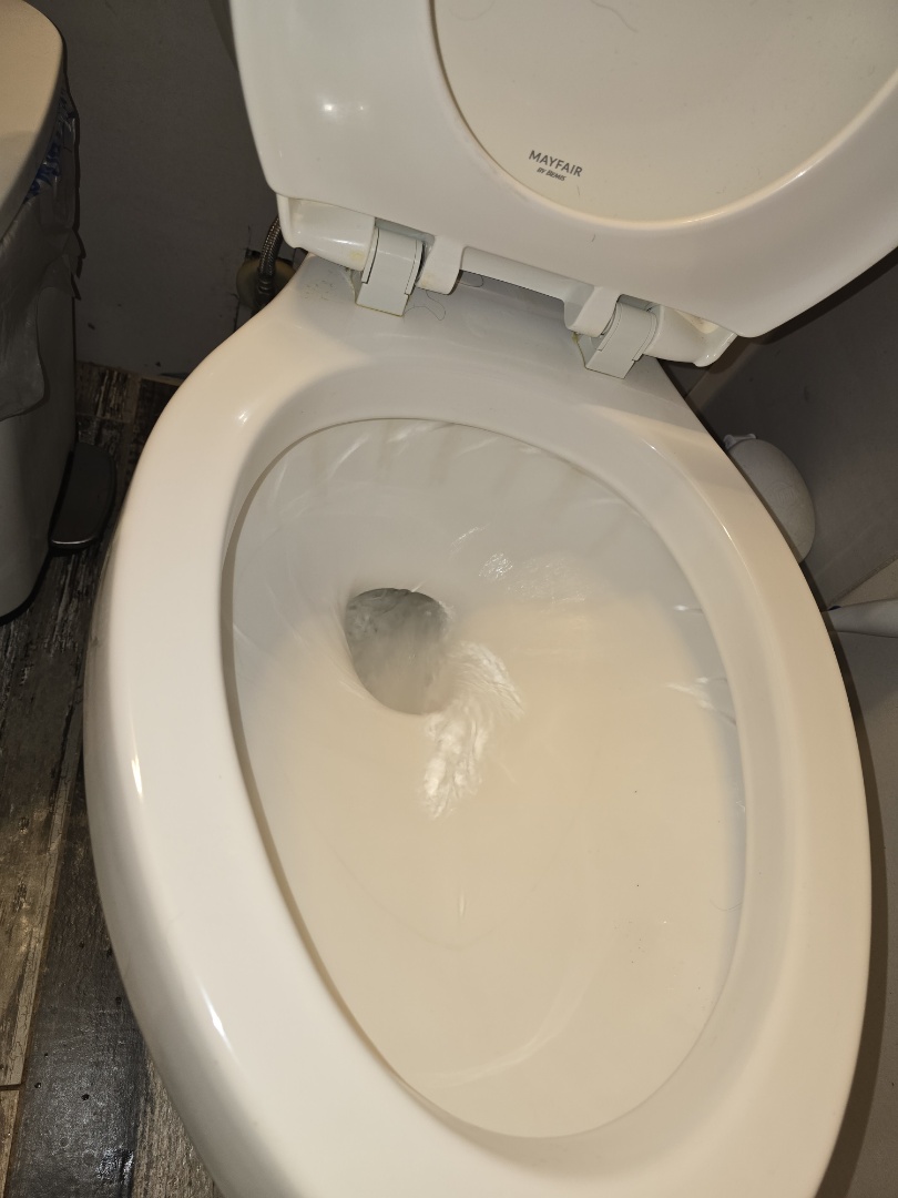 plumber needed 
Bobbie toilet we got you son