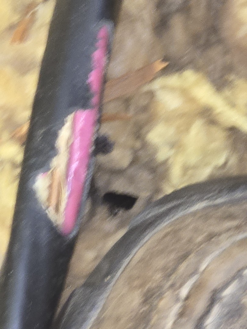 eletricion needed
wires a mess and scary we fix that 