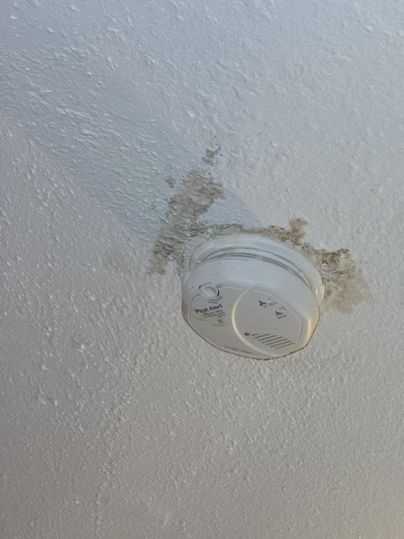 plumer needed 
ac drains casing you griff we fix that 