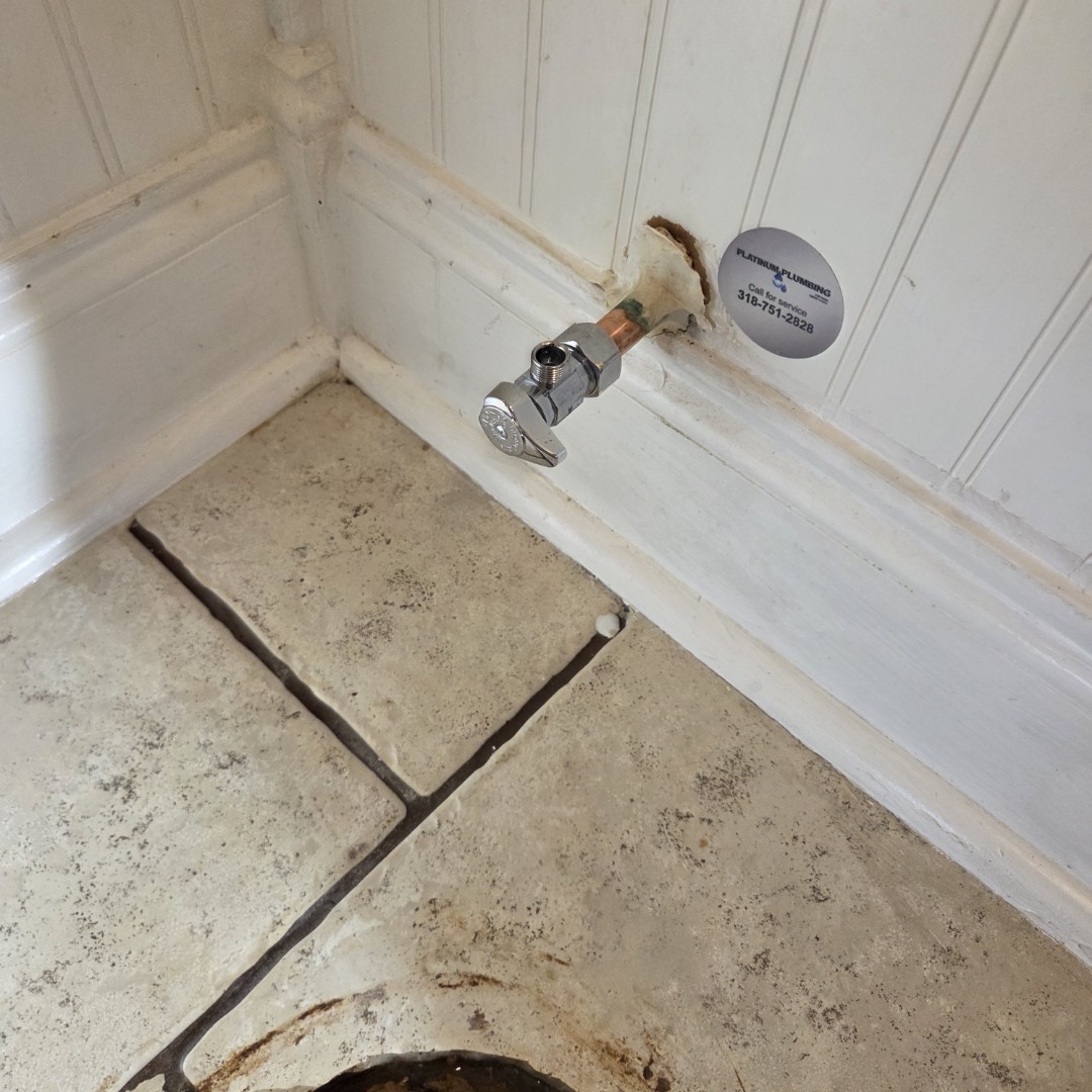 new toilet and shutoff valve