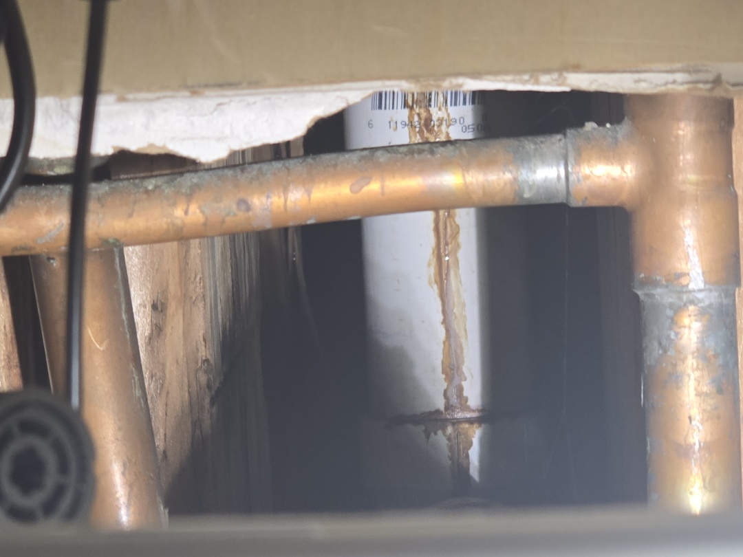 plumber needed 
water leaking we got you 
let's goooooo