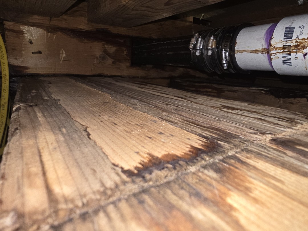 plumber needed 
water leaking we got you 
let's goooooo