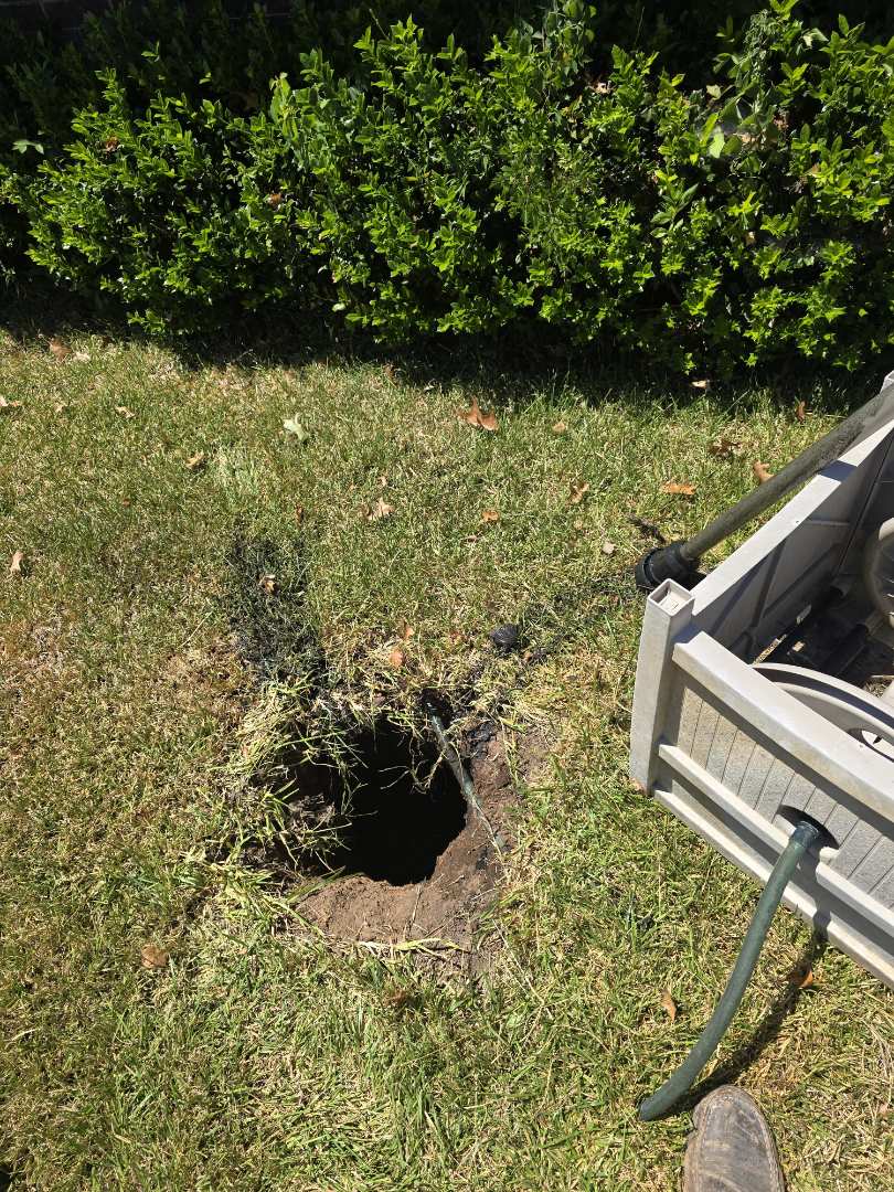 plumber needed 

backed up drains we fix um