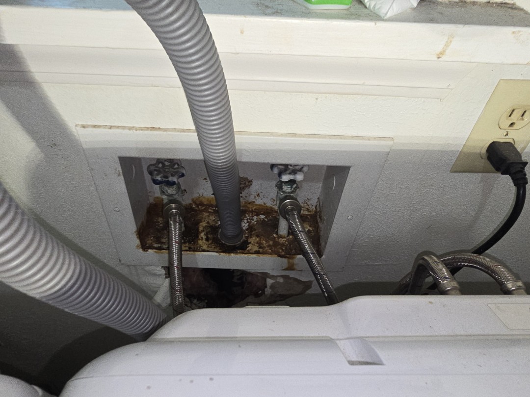 plumber needed 
washer box out of control not no more 