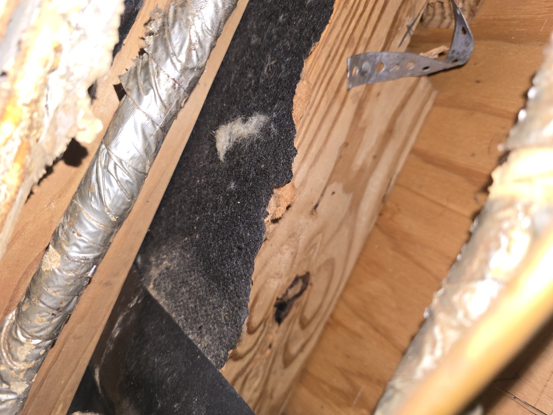 plumber needed 
stoped up drain we got ya