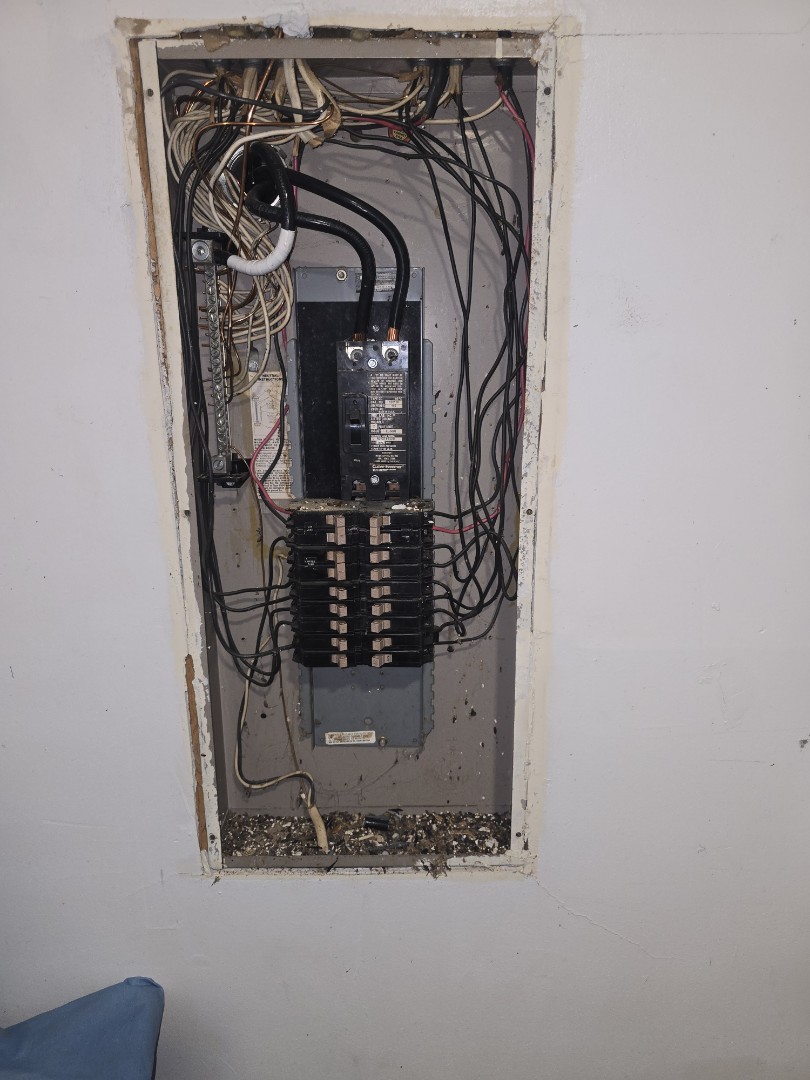 eletricion needed 
breaker panels upgrades plugs lights we got cha