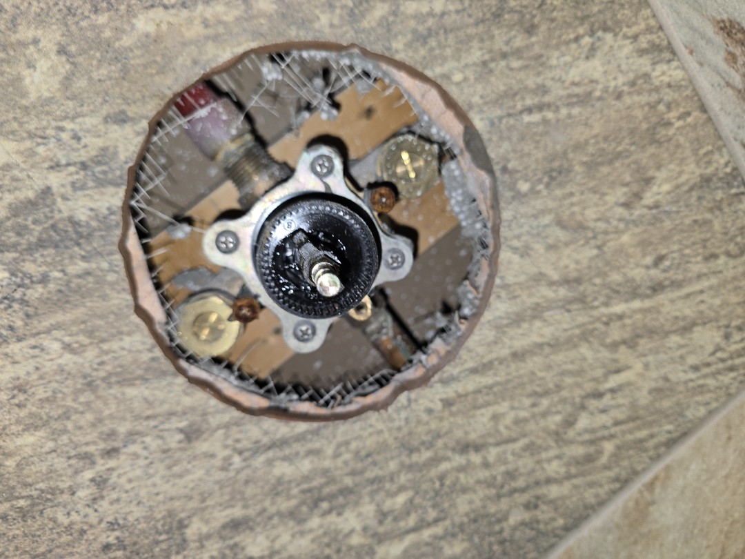 plumber needed 
toilets shower valve we do it all