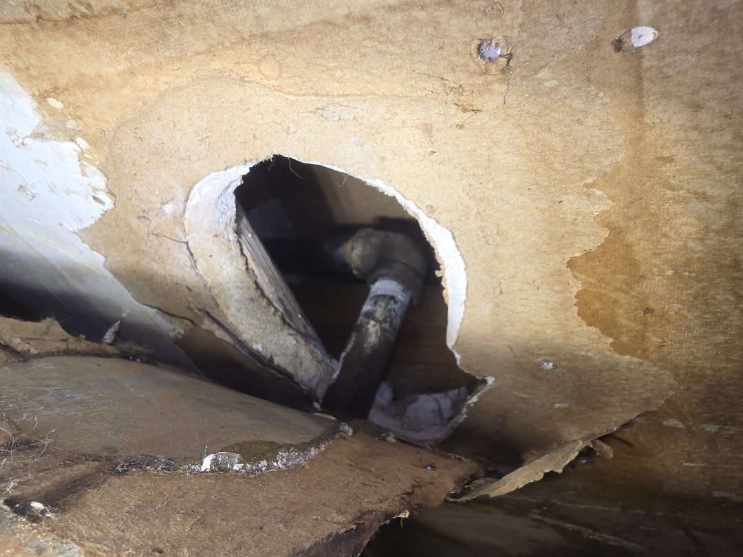 plumber needed 
gas leaks gas meters gas disconnect we fix all things gas 