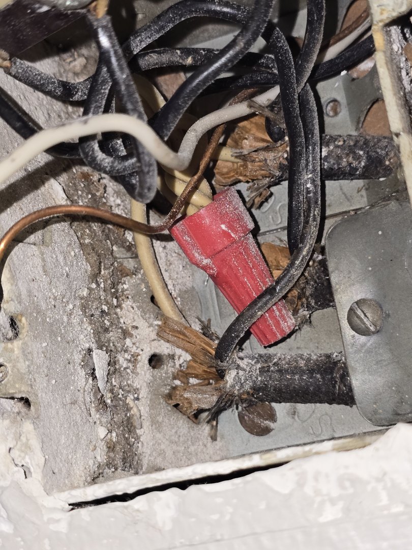 eletricion needed 
plugs lights outlets panels breakers we got cha