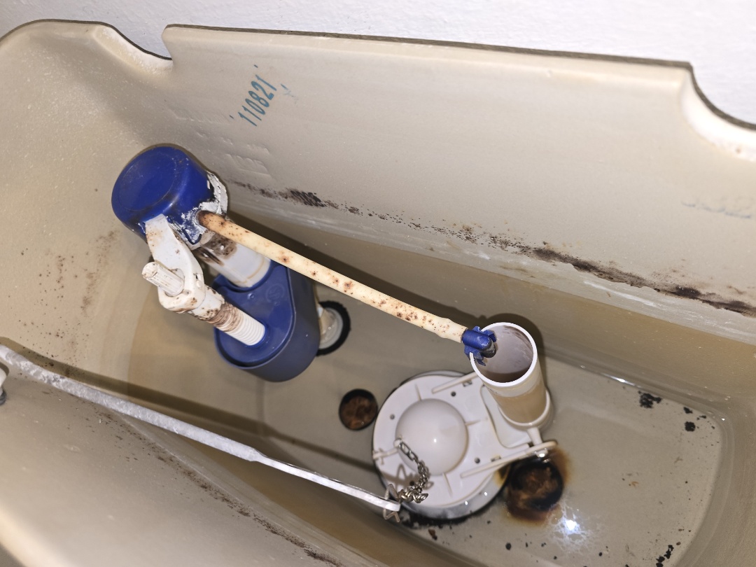 plumber needed 
water leaks toilet repairs water heater repair tankless repair water treatment repair lets go we do all of that and a bag of chips