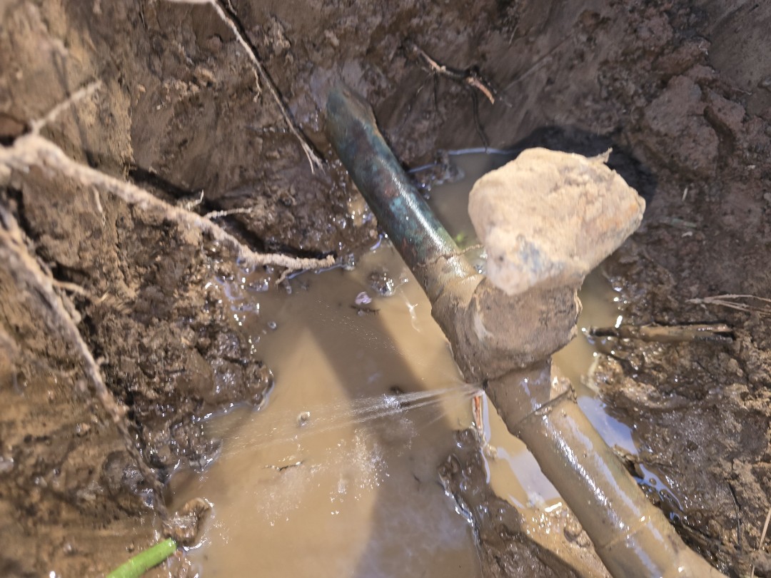 plumber needed 
water leaks toilet repairs water heater repair tankless repair water treatment repair lets go we do all of that and a bag of chips